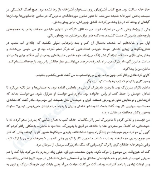 ما دروغگو بودیم - نمونه دوم - جزیره کتاب های الکترونیکی
